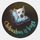 Search for cute bug stickers Funny