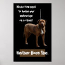 Search for animal welfare posters Dog