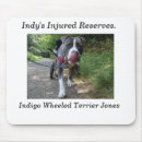 Search for pit electronics Rescue