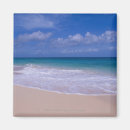 Search for sandy magnets Tropical