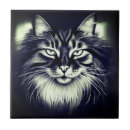Search for norwegian forest cat Fur