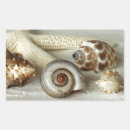Search for sea shell seashell stickers Tropical