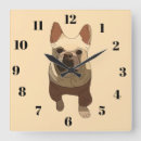 Search for french bulldog mom Dad