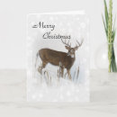 Search for whitetail deer christmas cards Buck