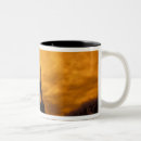Search for two towers mugs Europe