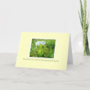 Search for annes cards Queen annes lace