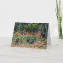 Search for boars cards Wild boar