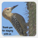 Search for bird house stickers Thank you