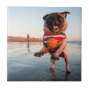 Search for beach tiles Sunset