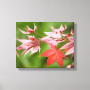 Search for maple canvas prints Foliage