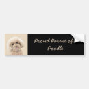 Search for toy bumper stickers Poodle