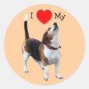 Search for heart beagle stickers Animal