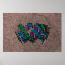 Search for dna posters Helix