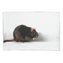 Search for rat pillowcases Pet