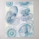 Search for scientific illustration posters Vintage