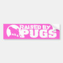 Search for pink car accessories Dogs
