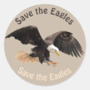 Search for bald eagle stickers Wildlife