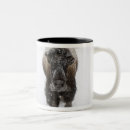 Search for american bison mugs Landscape