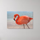Search for aruba canvas prints Ocean