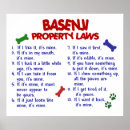 Search for basenji posters Cute