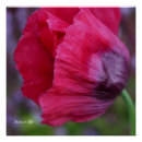 Search for digital calendars art Flower