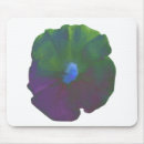 Search for petunia electronics Green