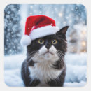 Search for black and white kitten stickers Fun