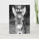 Search for foal birthday cards Mule