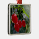 Search for spots christmas tree decorations Red