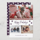 Search for purple paws cards Cute