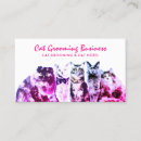 Search for cat breeder business cards Cats
