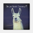 Search for funny husband magnets Relationship