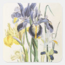 Search for iris flowers stickers Van gogh