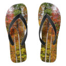 Search for photography jandals Green