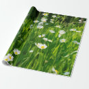 Search for meadow wrapping paper Nature