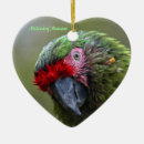 Search for macaw christmas tree decorations Eye
