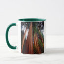 Search for growth mugs Danita delimont