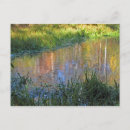 Search for reflecting postcards Ponds