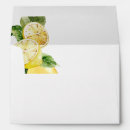 Search for travel envelopes Elegant