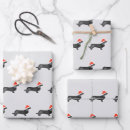 Search for dachsund wrapping paper Pet