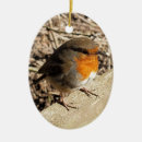 Search for robin christmas tree decorations Wildlife