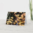 Search for red maple cards Photography