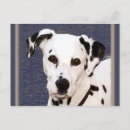 Search for mutt postcards Pet