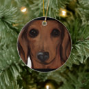 Search for long haired dachshund christmas tree decorations Doxie