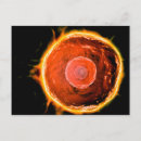 Search for immune system postcards Science