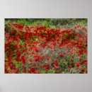 Search for red art Floral