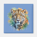 Search for vector magnets Animal