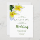 Search for frangipani invitations Modern