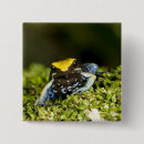 Search for ear badges Nature