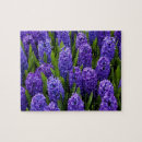 Search for hyacinth puzzles Floral